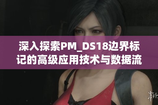 深入探索PM_DS18边界标记的高级应用技术与数据流管理的实用技巧
