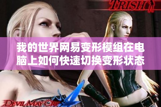 我的世界网易变形模组在电脑上如何快速切换变形状态的键位指南
