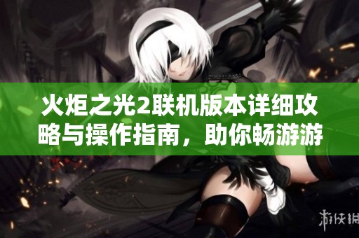 火炬之光2联机版本详细攻略与操作指南，助你畅游游戏世界的全新体验