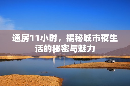 通房11小时，揭秘城市夜生活的秘密与魅力