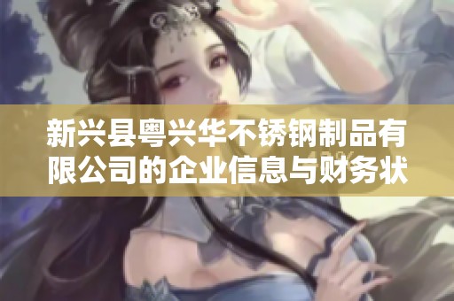 新兴县粤兴华不锈钢制品有限公司的企业信息与财务状况分析报告