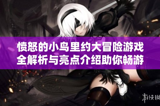 愤怒的小鸟里约大冒险游戏全解析与亮点介绍助你畅游欢乐世界