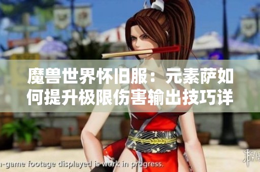 魔兽世界怀旧服：元素萨如何提升极限伤害输出技巧详解