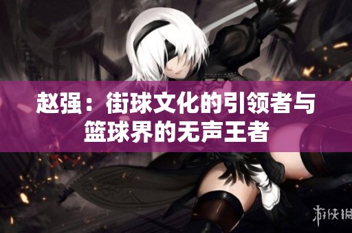 赵强：街球文化的引领者与篮球界的无声王者