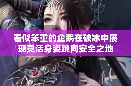 看似笨重的企鹅在破冰中展现灵活身姿跳向安全之地