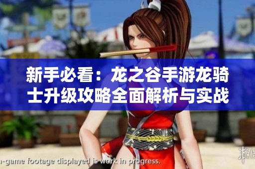 新手必看：龙之谷手游龙骑士升级攻略全面解析与实战技巧