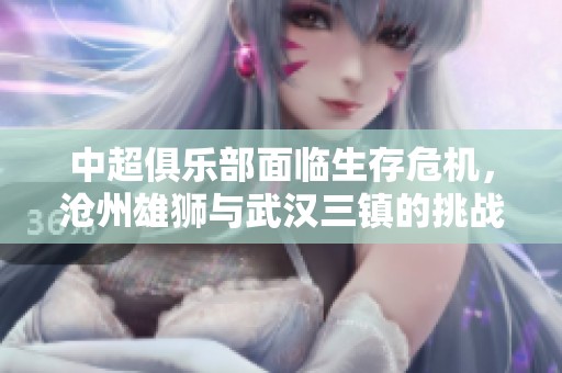中超俱乐部面临生存危机，沧州雄狮与武汉三镇的挑战与困境