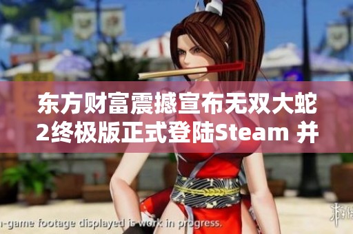 东方财富震撼宣布无双大蛇2终极版正式登陆Steam 并支持中文平台