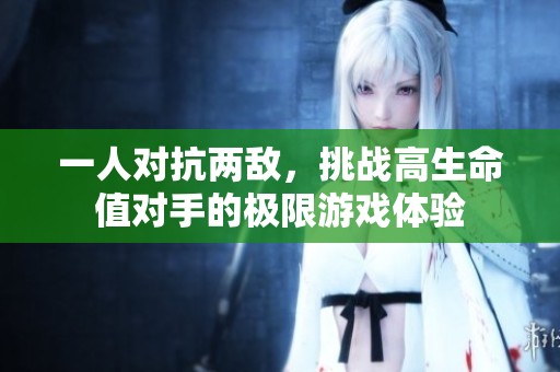 一人对抗两敌，挑战高生命值对手的极限游戏体验