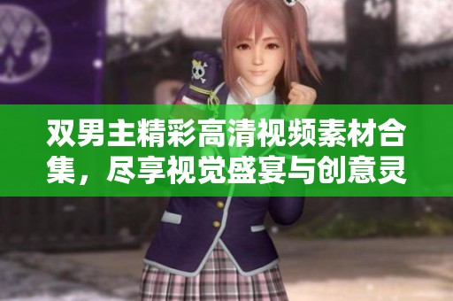 双男主精彩高清视频素材合集，尽享视觉盛宴与创意灵感