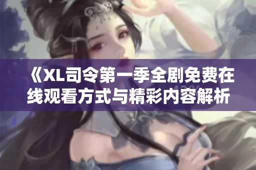 《XL司令第一季全剧免费在线观看方式与精彩内容解析》