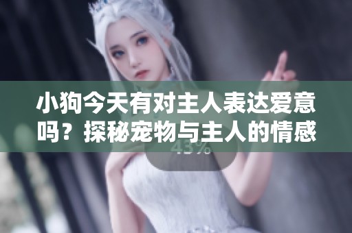 小狗今天有对主人表达爱意吗？探秘宠物与主人的情感连结