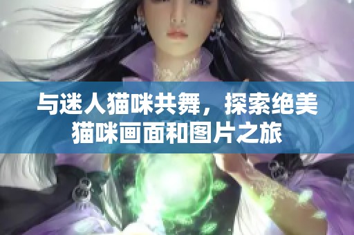 与迷人猫咪共舞，探索绝美猫咪画面和图片之旅