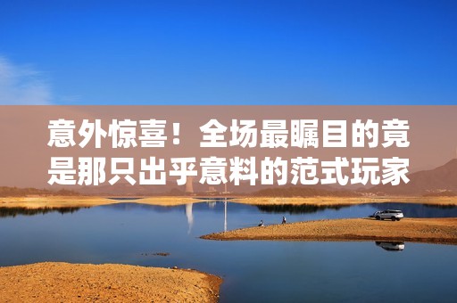 意外惊喜！全场最瞩目的竟是那只出乎意料的范式玩家