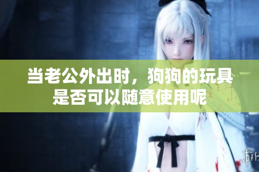 当老公外出时，狗狗的玩具是否可以随意使用呢