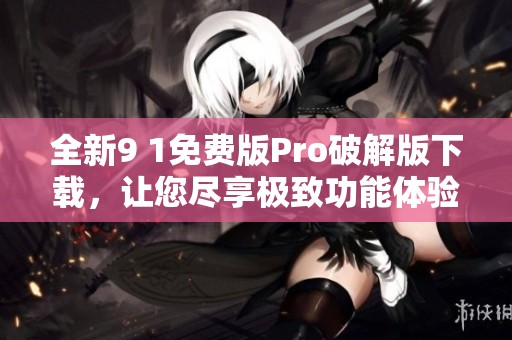 全新9 1免费版Pro破解版下载，让您尽享极致功能体验