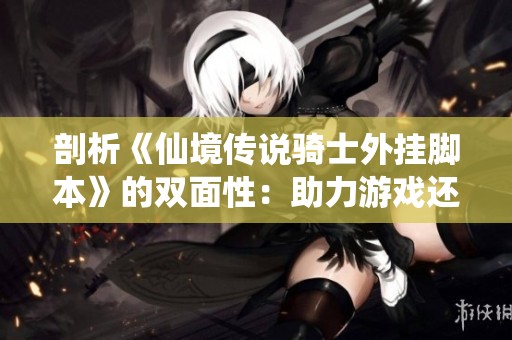 剖析《仙境传说骑士外挂脚本》的双面性：助力游戏还是破坏平衡