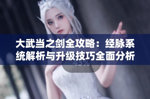 大武当之剑全攻略：经脉系统解析与升级技巧全面分析