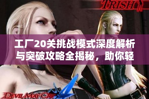 工厂20关挑战模式深度解析与突破攻略全揭秘，助你轻松过关