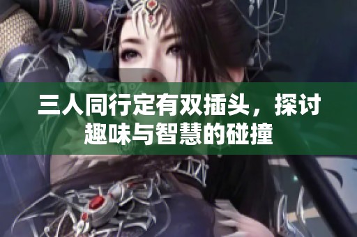 三人同行定有双插头，探讨趣味与智慧的碰撞