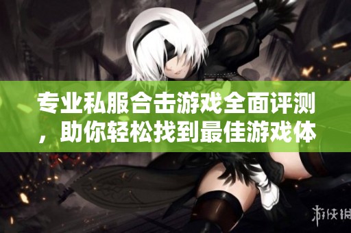 专业私服合击游戏全面评测，助你轻松找到最佳游戏体验