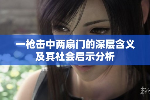 一枪击中两扇门的深层含义及其社会启示分析