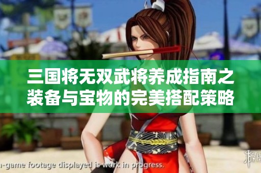 三国将无双武将养成指南之装备与宝物的完美搭配策略
