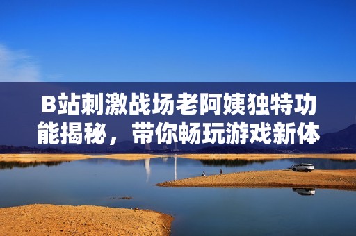 B站刺激战场老阿姨独特功能揭秘，带你畅玩游戏新体验