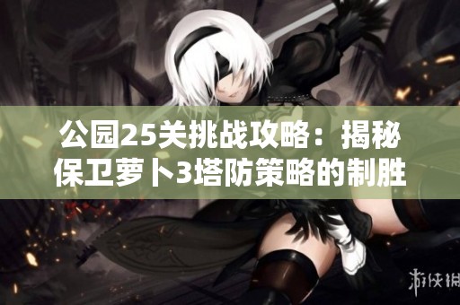 公园25关挑战攻略：揭秘保卫萝卜3塔防策略的制胜之道