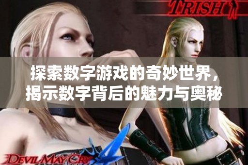 探索数字游戏的奇妙世界，揭示数字背后的魅力与奥秘