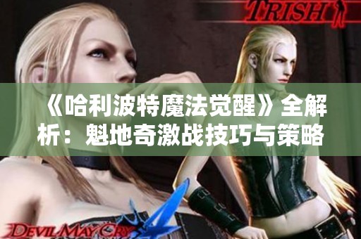 《哈利波特魔法觉醒》全解析：魁地奇激战技巧与策略指南