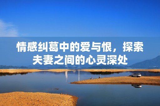 情感纠葛中的爱与恨，探索夫妻之间的心灵深处