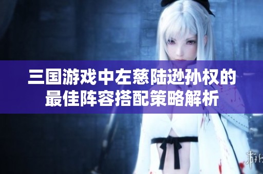 三国游戏中左慈陆逊孙权的最佳阵容搭配策略解析