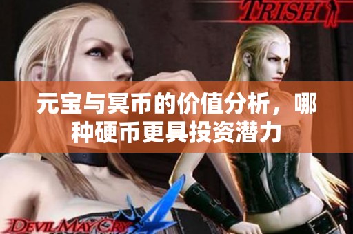 元宝与冥币的价值分析，哪种硬币更具投资潜力