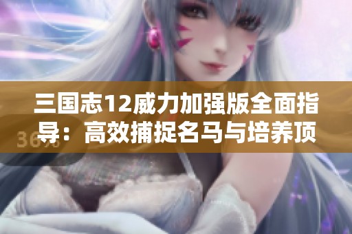 三国志12威力加强版全面指导：高效捕捉名马与培养顶级武将技巧详解