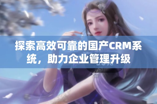 探索高效可靠的国产CRM系统，助力企业管理升级