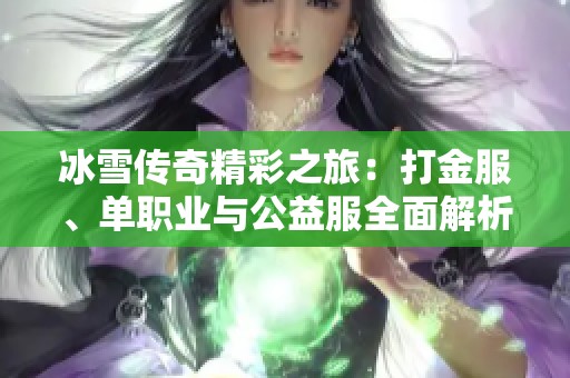 冰雪传奇精彩之旅：打金服、单职业与公益服全面解析