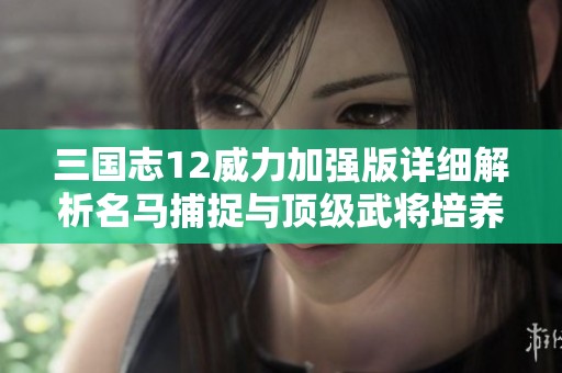 三国志12威力加强版详细解析名马捕捉与顶级武将培养策略