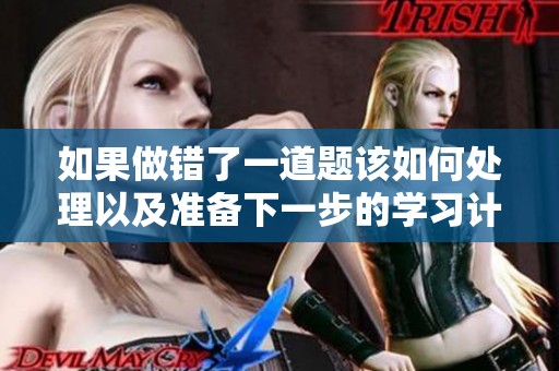 如果做错了一道题该如何处理以及准备下一步的学习计划