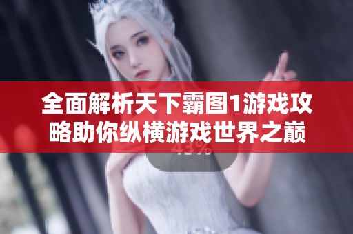 全面解析天下霸图1游戏攻略助你纵横游戏世界之巅