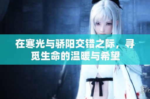 在寒光与骄阳交错之际，寻觅生命的温暖与希望