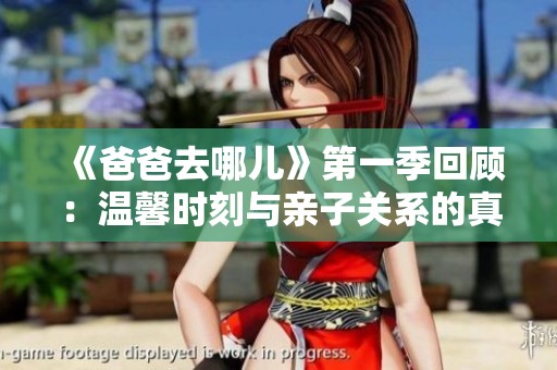 《爸爸去哪儿》第一季回顾：温馨时刻与亲子关系的真实展现