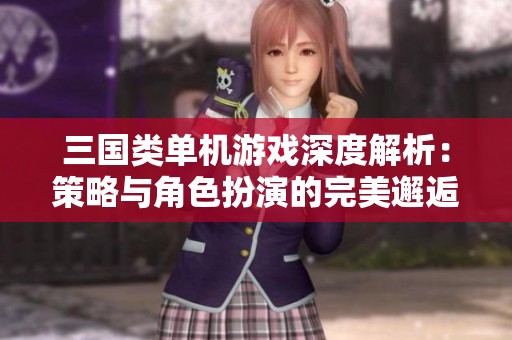 三国类单机游戏深度解析：策略与角色扮演的完美邂逅与玩法探讨