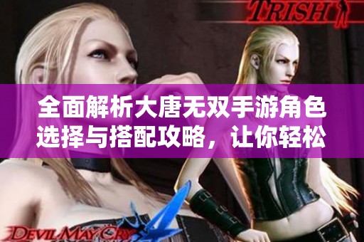 全面解析大唐无双手游角色选择与搭配攻略，让你轻松畅玩游戏