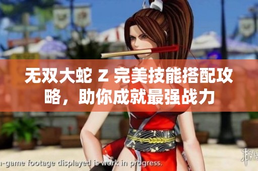无双大蛇 Z 完美技能搭配攻略，助你成就最强战力