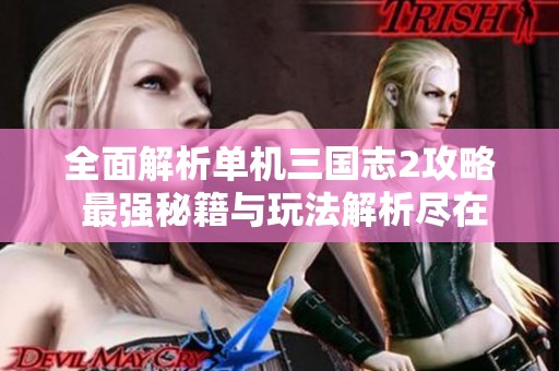 全面解析单机三国志2攻略 最强秘籍与玩法解析尽在江南新游网