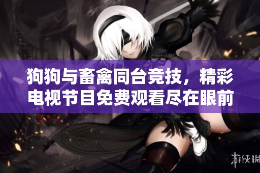 狗狗与畜禽同台竞技，精彩电视节目免费观看尽在眼前