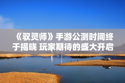 《驭灵师》手游公测时间终于揭晓 玩家期待的盛大开启即将来临