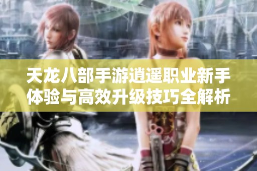 天龙八部手游逍遥职业新手体验与高效升级技巧全解析