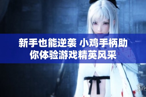 新手也能逆袭 小鸡手柄助你体验游戏精英风采